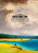 黑暗领域的角色发展：提升你的游戏体验